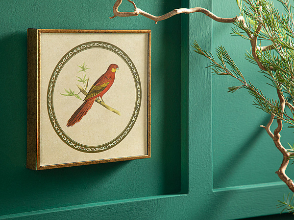 Parrot Picture 20х20 cm