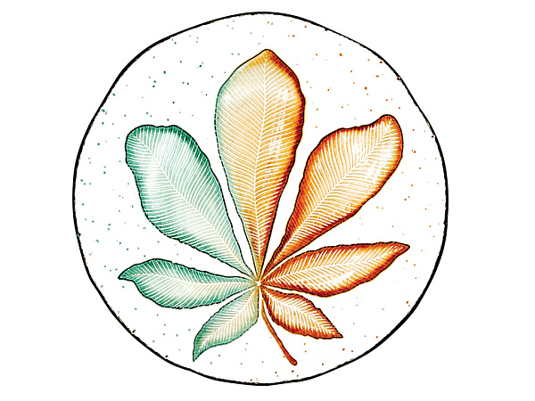 Palm Тарілка для торта 21 см