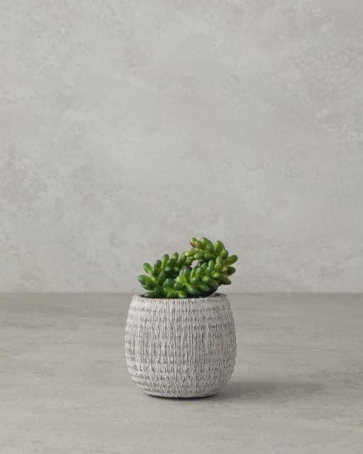 Cactus Love Искусственный цветок в горшке 12.5 см