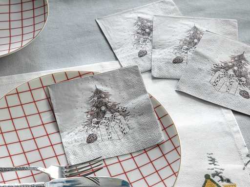 Winter Conservatory Paper napkins 25х25 cm 20 pcs