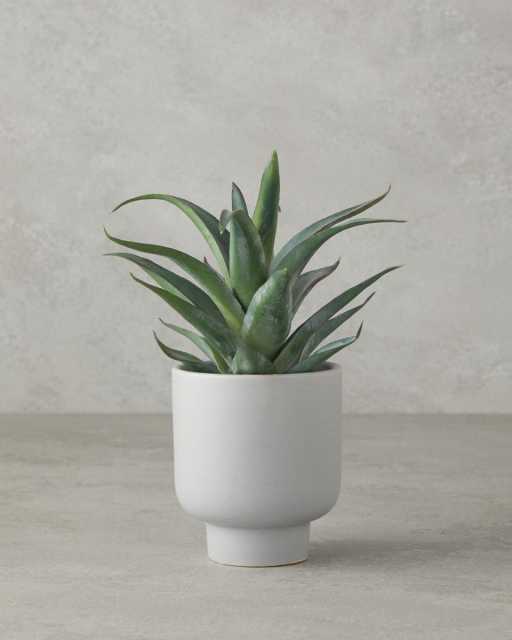 Aloevera Искусственный цветок в горшке 21 см