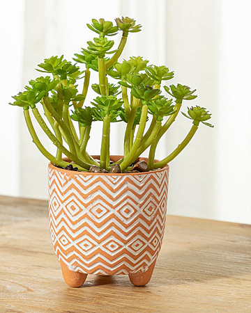 Succulent Штучна квітка у горщику 8х19 см