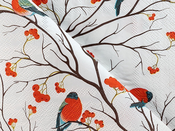Birds Салфетки бумажные 22 шт 33х33 см