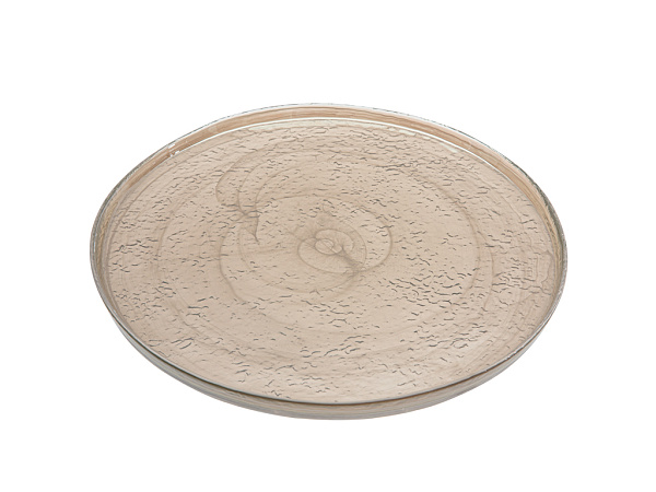 Porpois Serving plate 27 cm
