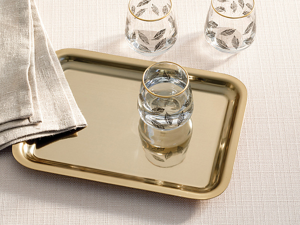 Shiny Tray 22х16 cm