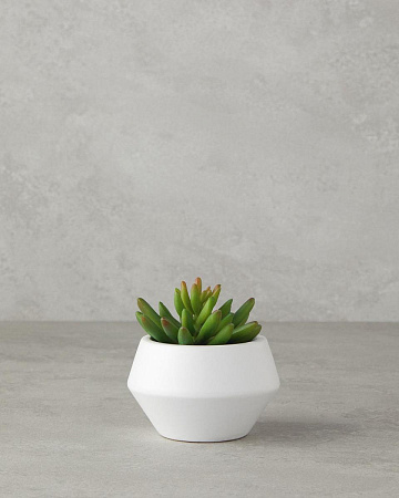 Agata Artificial flower in a pot 10 cm