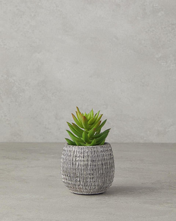 Crassula Artificial flower in a pot 12.5 cm