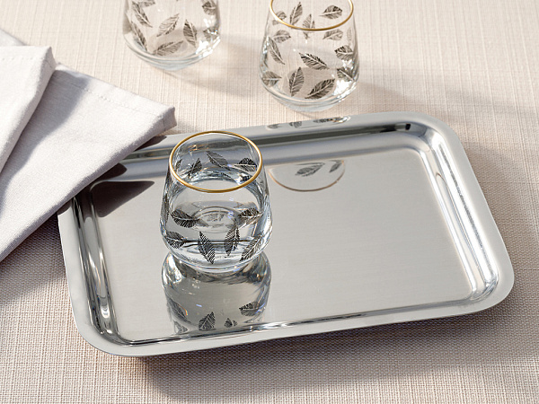 Shiny Tray 22х16 cm